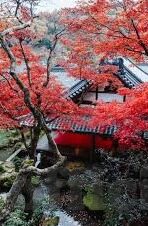 国产麻豆剧果冻传媒观看不卡-国产麻豆剧果冻传媒，流畅观影新体验