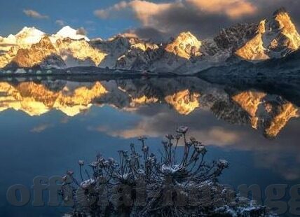 久久久麻豆91大神-久久不息的创意火花，麻豆91大神的独特魅力
