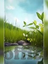 丝袜人妻一区二区三区-丝袜诱惑，时尚与生活的微妙交织